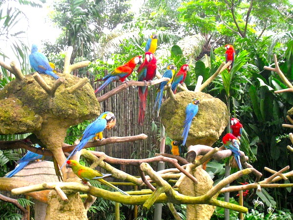 Where Can We Find Nature Paper Explanations Where Can We Find Nature Paper Explanations