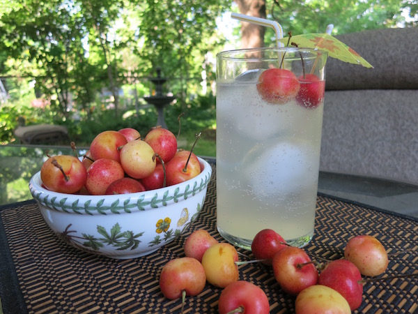 Cherry Limeade Cooler Food Travelist