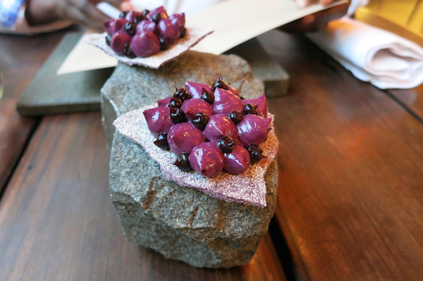 Photo4_Deer_Berries_Borago_AuthenticFoodQuest
