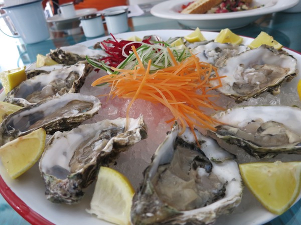 Oysters at Fresco in Mazatlan