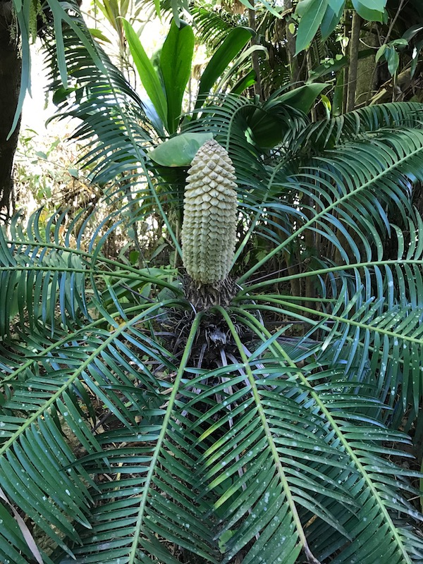 Botanical Gardens