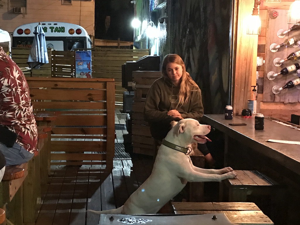 The Dog Bar Can I get a drink St. Petersburg FLorida